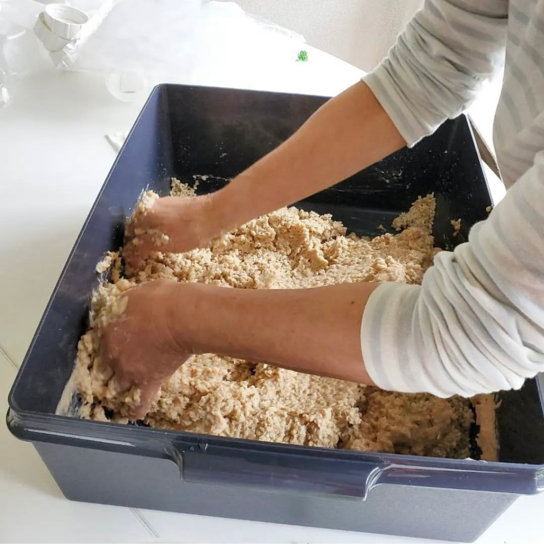 「手作り味噌」はなぜおいしい？ むぎもんが解き明かす「旨味」の秘密